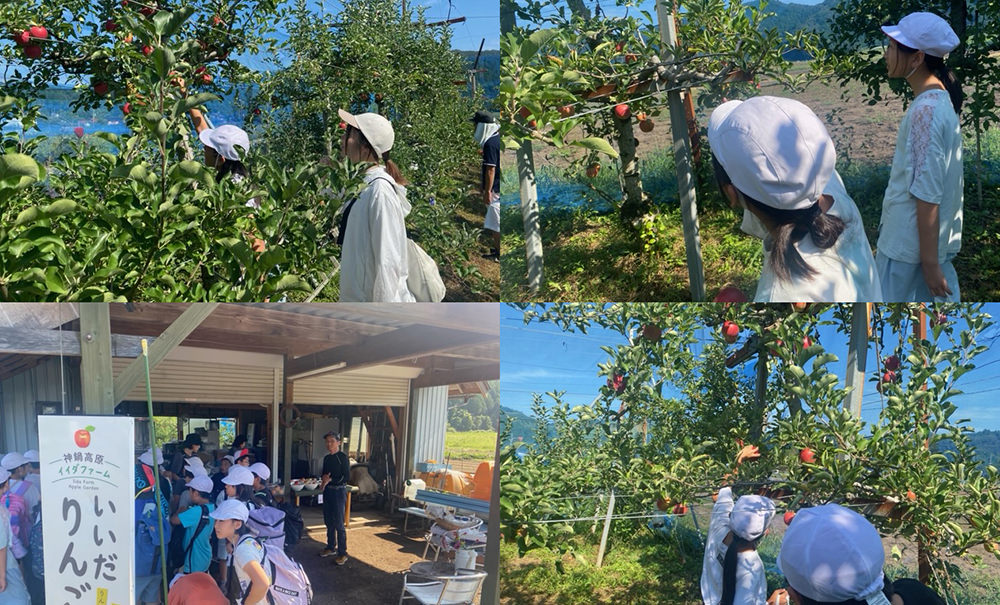 いいだりんご園